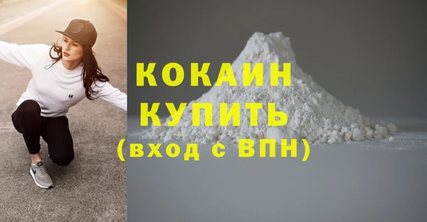 МДПВ Нефтегорск